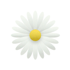 Camomile