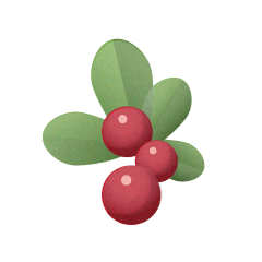 Cranberry