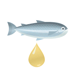 Omega 3+6
