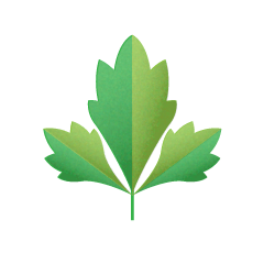 Parsley