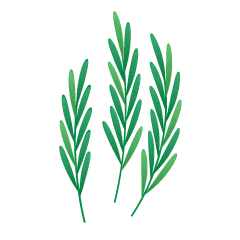 Rosemary